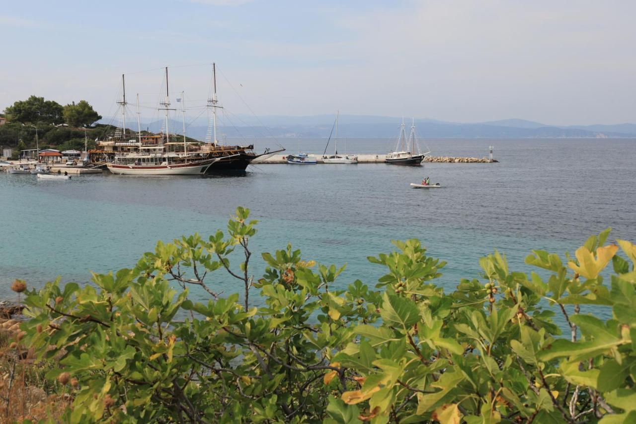 Apartment η ροδιά - Rodia